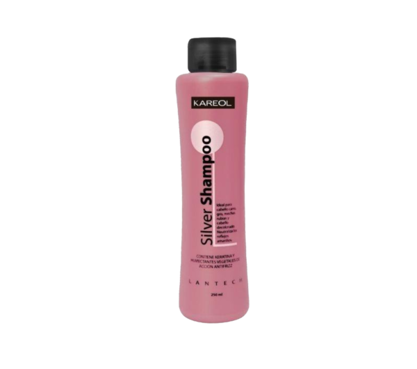 SILVER SHAMPOO AZUL 250ML